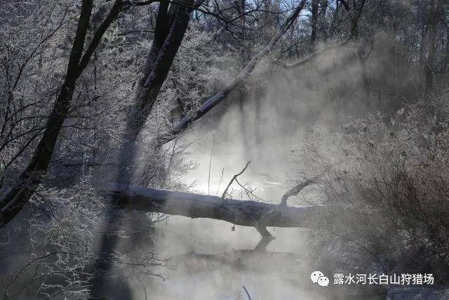 云上的歌